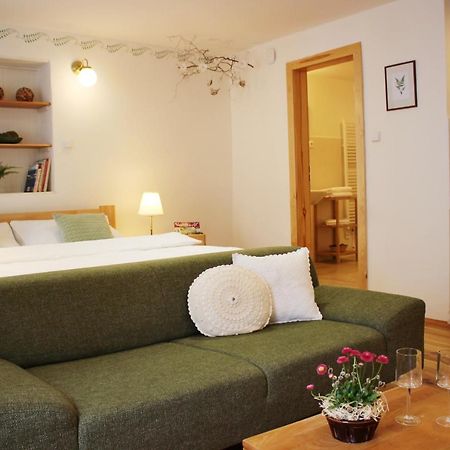 Apartmany Domestika Czeski Krumlow Zewnętrze zdjęcie