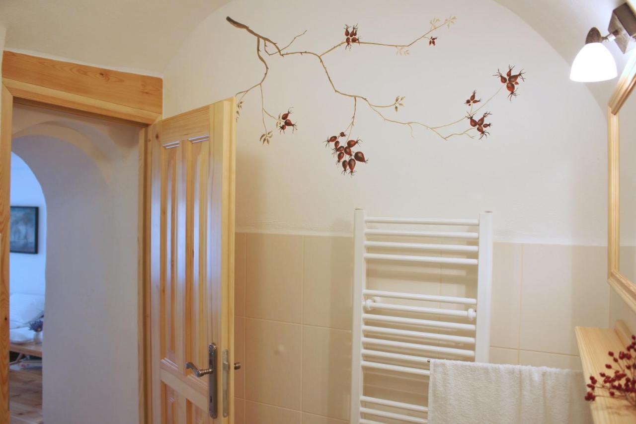 Apartmany Domestika Czeski Krumlow Zewnętrze zdjęcie