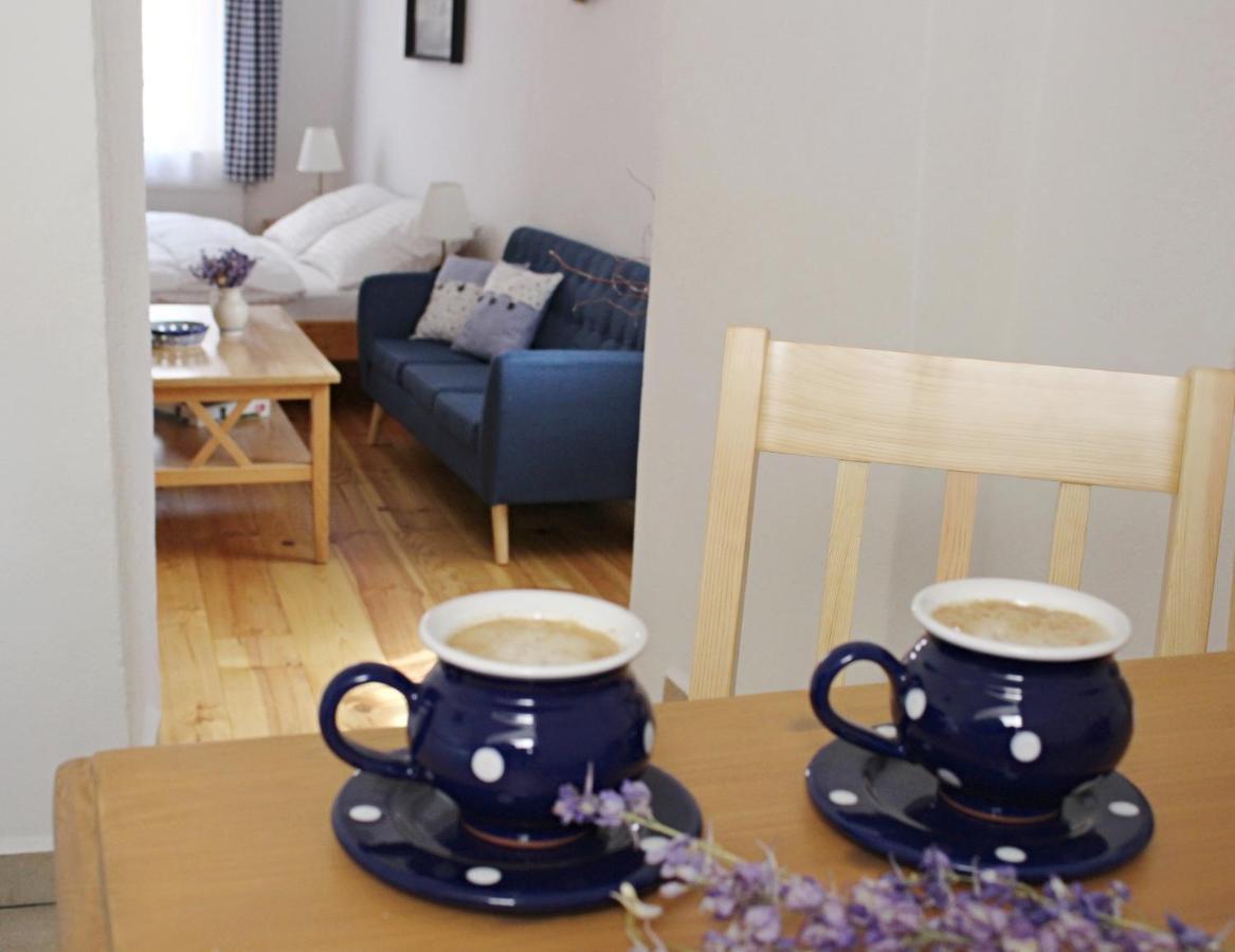 Apartmany Domestika Czeski Krumlow Zewnętrze zdjęcie