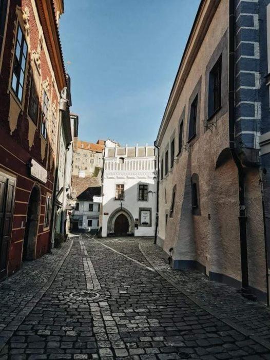 Apartmany Domestika Czeski Krumlow Zewnętrze zdjęcie