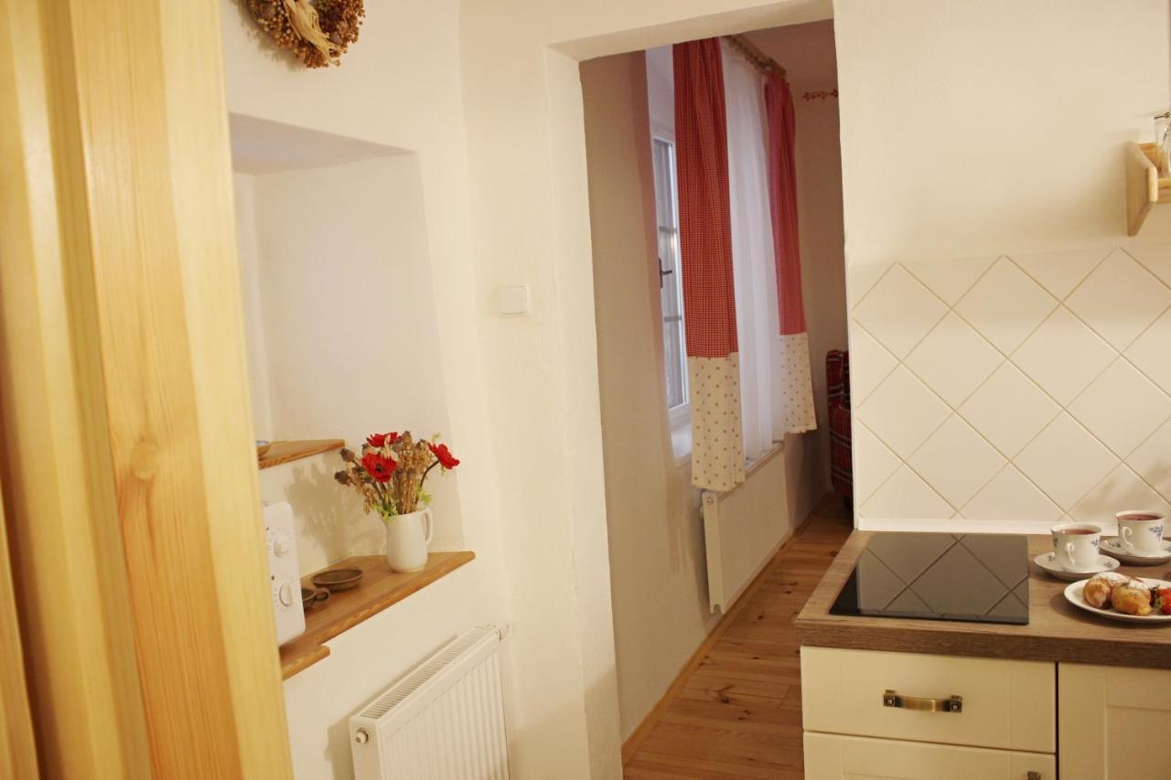 Apartmany Domestika Czeski Krumlow Zewnętrze zdjęcie